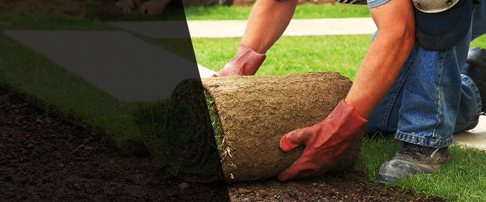 Smyrna Landscapers